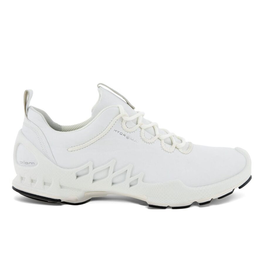 کفش پیاده روی و دویدن زنانه اکو Ecco Biom Aex