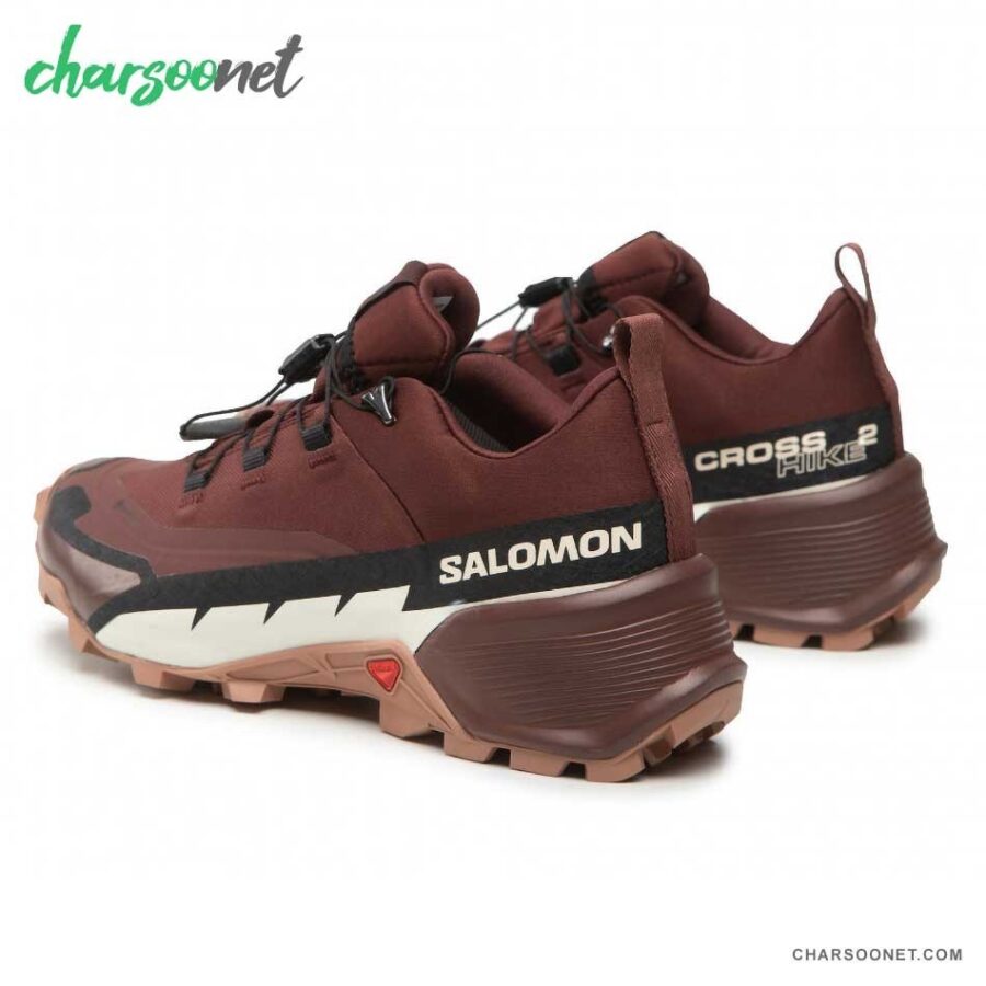 کفش کوهنوردی سالومون Salomon Cross Hike Gtx 2