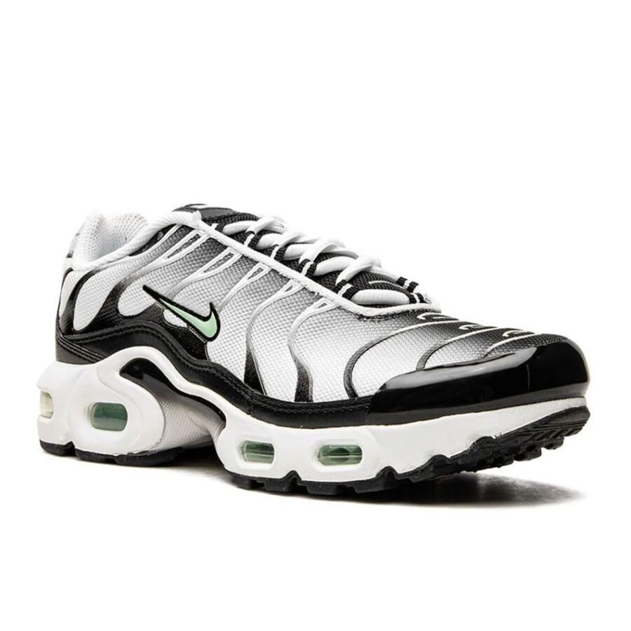 کفش اسپرت مردانه نایکی Nike Airmax Plus TN