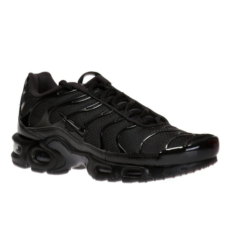کفش پیاده روی و دویدن نایک مردانه Nike Air max Plus TN