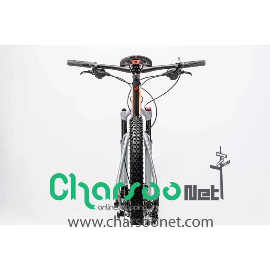 دوچرخه حرفه ای کیوب کوهستانی Cube Acid کد BYC-00040 سایز 29 مدل 2016